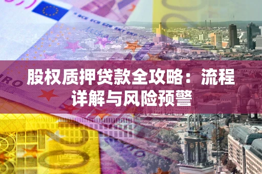 北京股权质押贷款全攻略：流程详解与风险预警