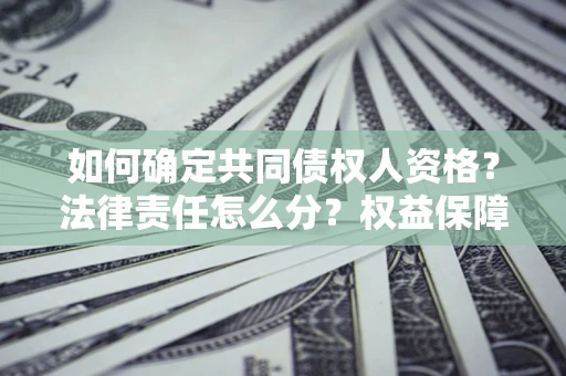 北京如何确定共同债权人资格？法律责任怎么分？权益保障技巧揭秘！