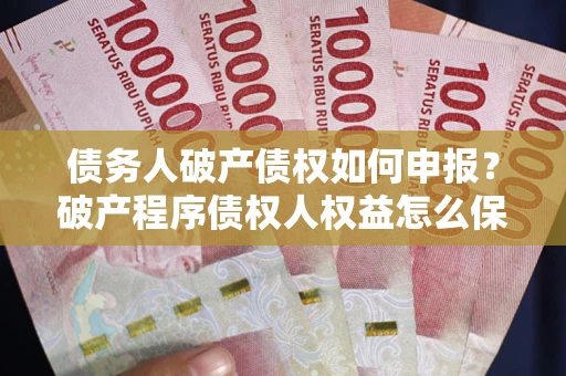 北京债务人破产债权如何申报？破产程序债权人权益怎么保障？