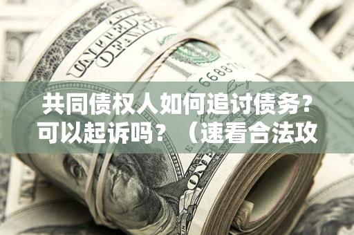 北京共同债权人如何追讨债务？可以起诉吗？（速看合法攻略）