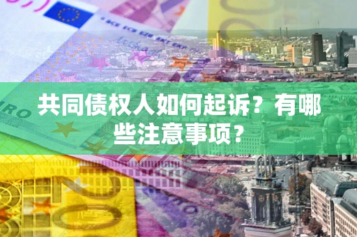 北京共同债权人如何起诉？有哪些注意事项？